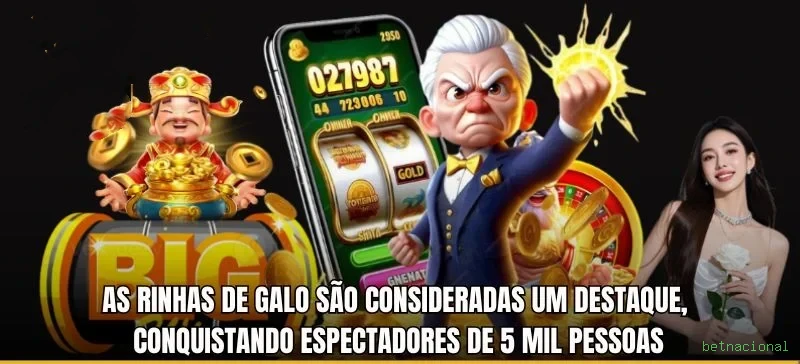 Tecnologia da Plataforma betnacional